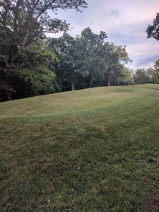 Serpent Mound Head